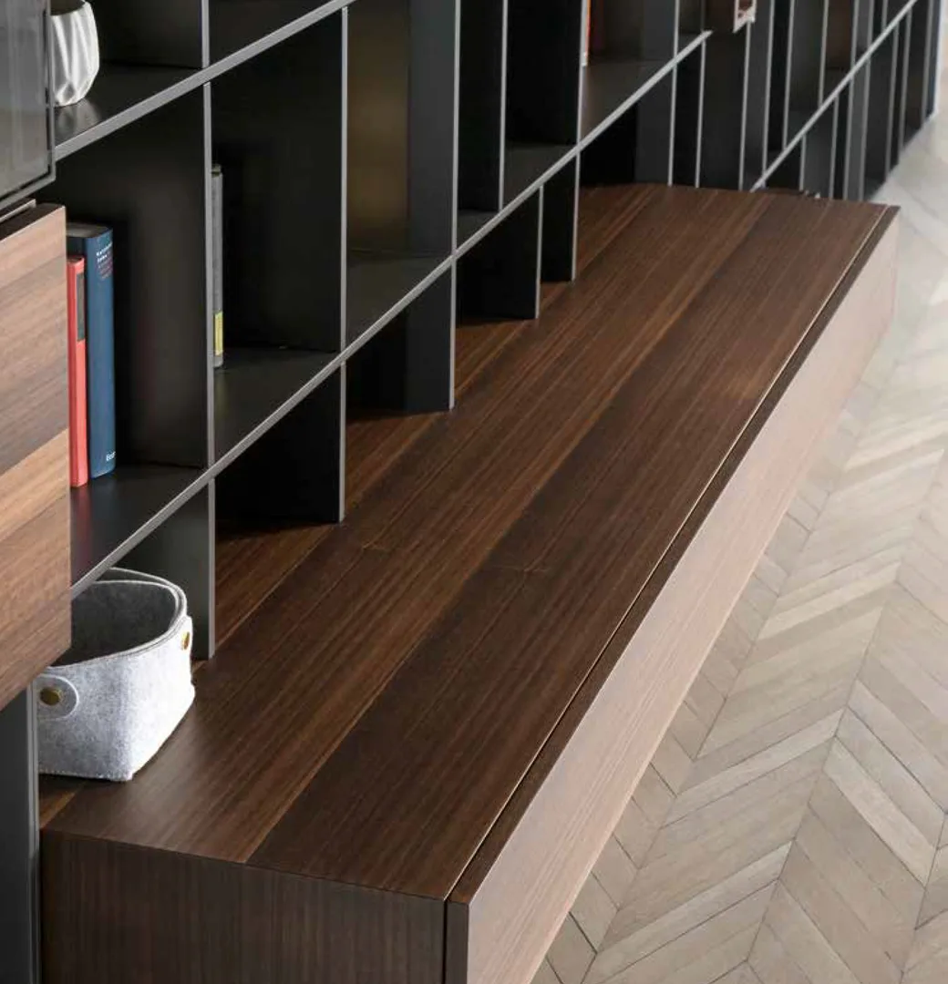 Salón con Librería modular